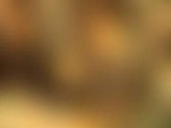 夫婦で起業の勉強会を受けている写真