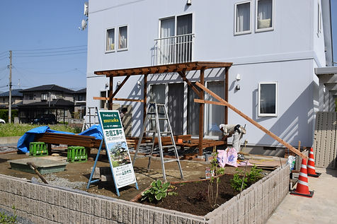 DSC1119.JPG