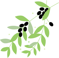 herb-13-3.gif