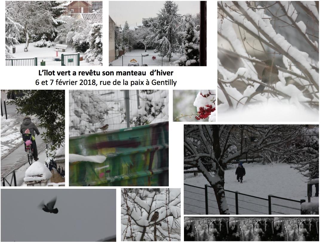 Il a neigé sur l'ilot vert.