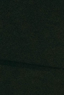 NOEC-49.jpg