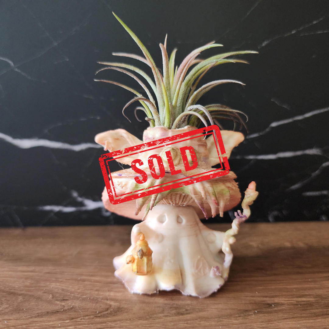 SOLD - Mosswick 001 hand-finished Bloom Sprite with mushroom hat, staff, lantern and living air plant