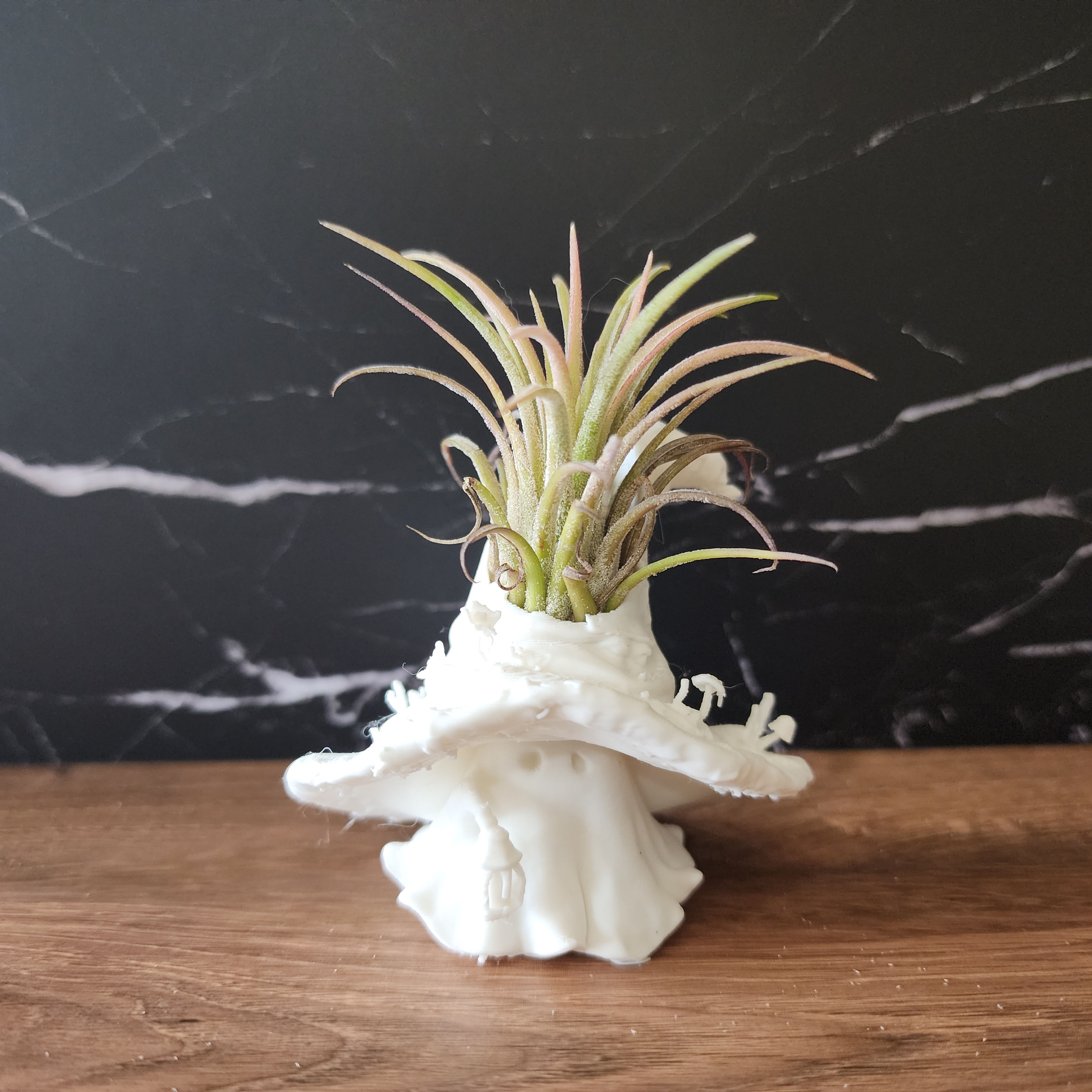 Bramble 2.5 inch white Bloom Sprite with mushroom hat, lantern and living air plant