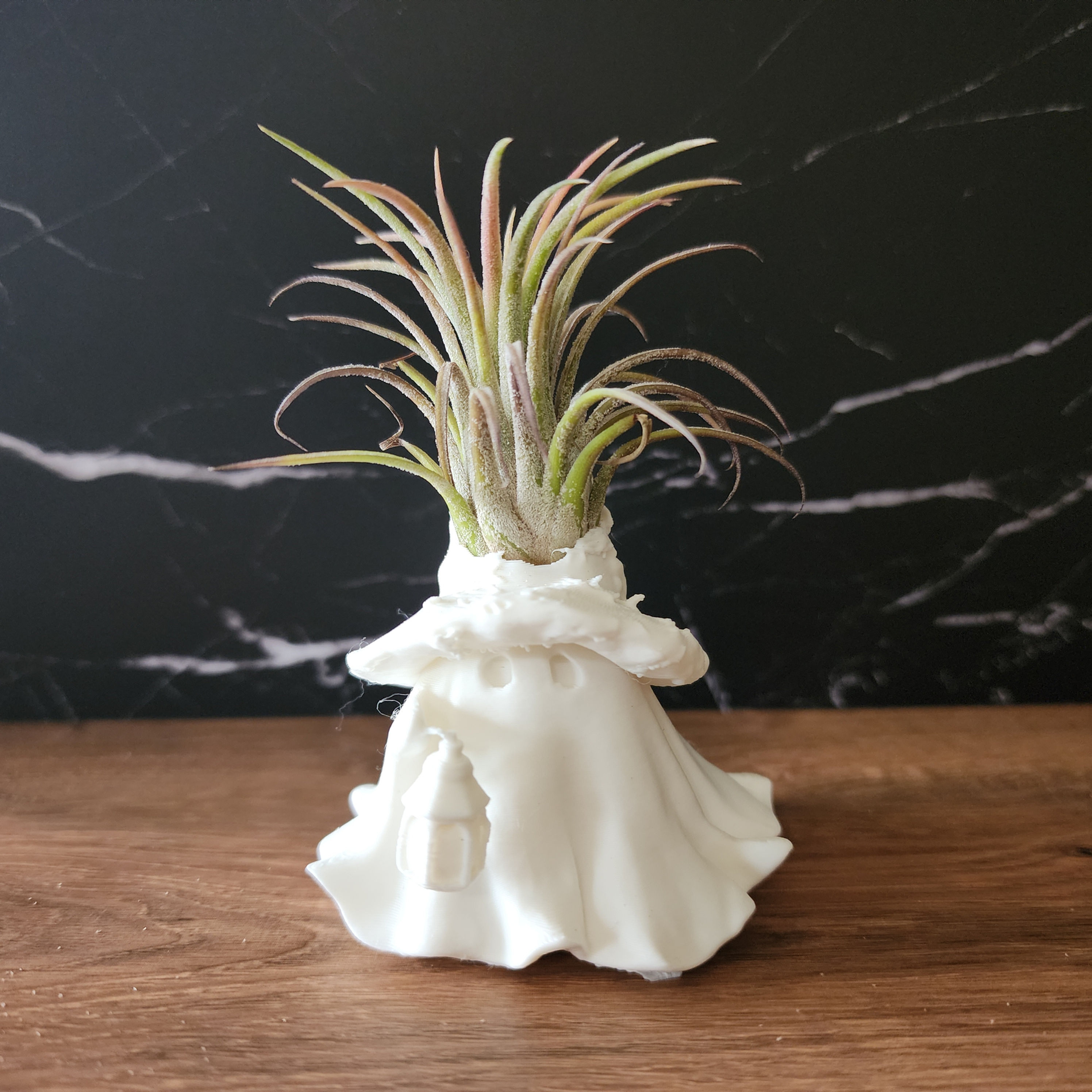 Morrow 2.5 inch white Bloom Sprite with air plant on wood against a black marble background
