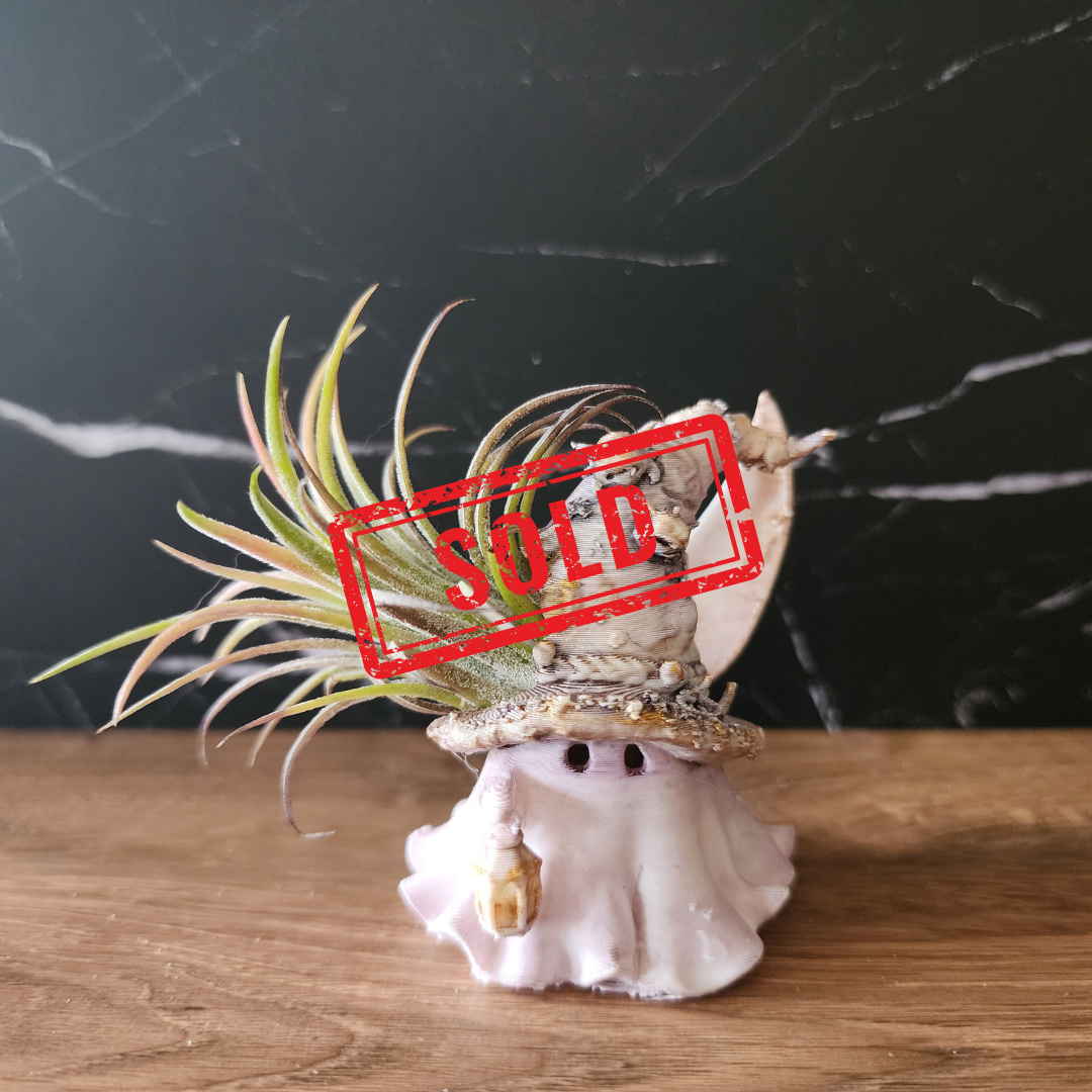 SOLD - Nettle 001 hand-finished Bloom Sprite with curled mushroom hat, lantern and living air plant