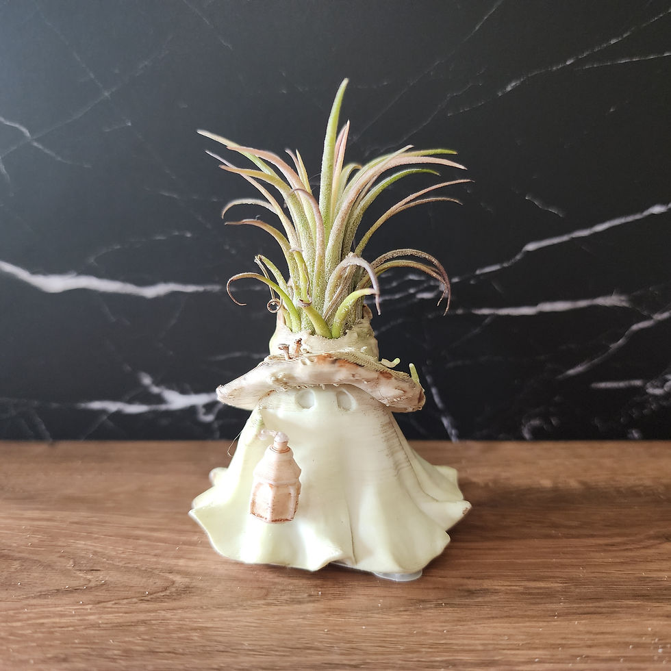 Morrow 001 hand-finished Bloom Sprite with dusty pink mushroom hat, lantern and living air plant