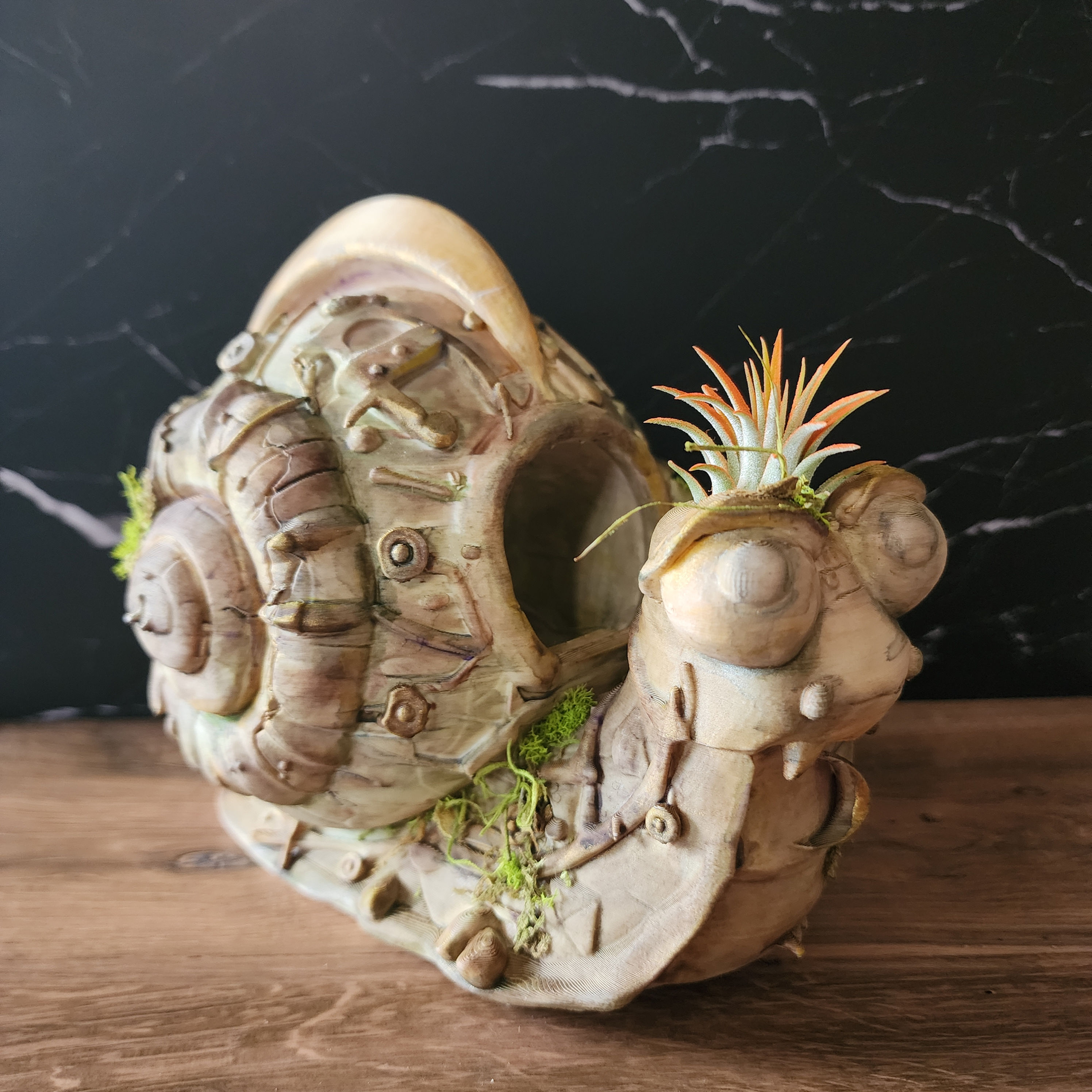Noodle 7 inch hand-finished snail with multiple eyes, botanical details and colored living air plant