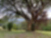 7905DBDD-E108-409B-B4D2-B2AF65FEC822_1_105_c.jpeg