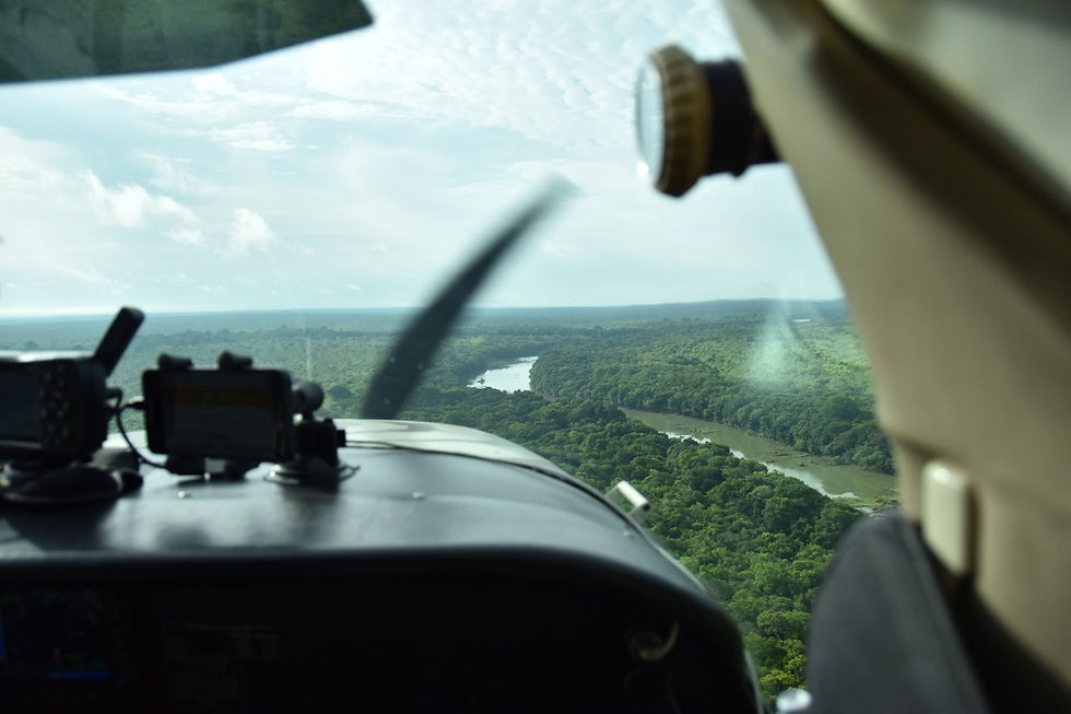 Comoé National Park, April 2025