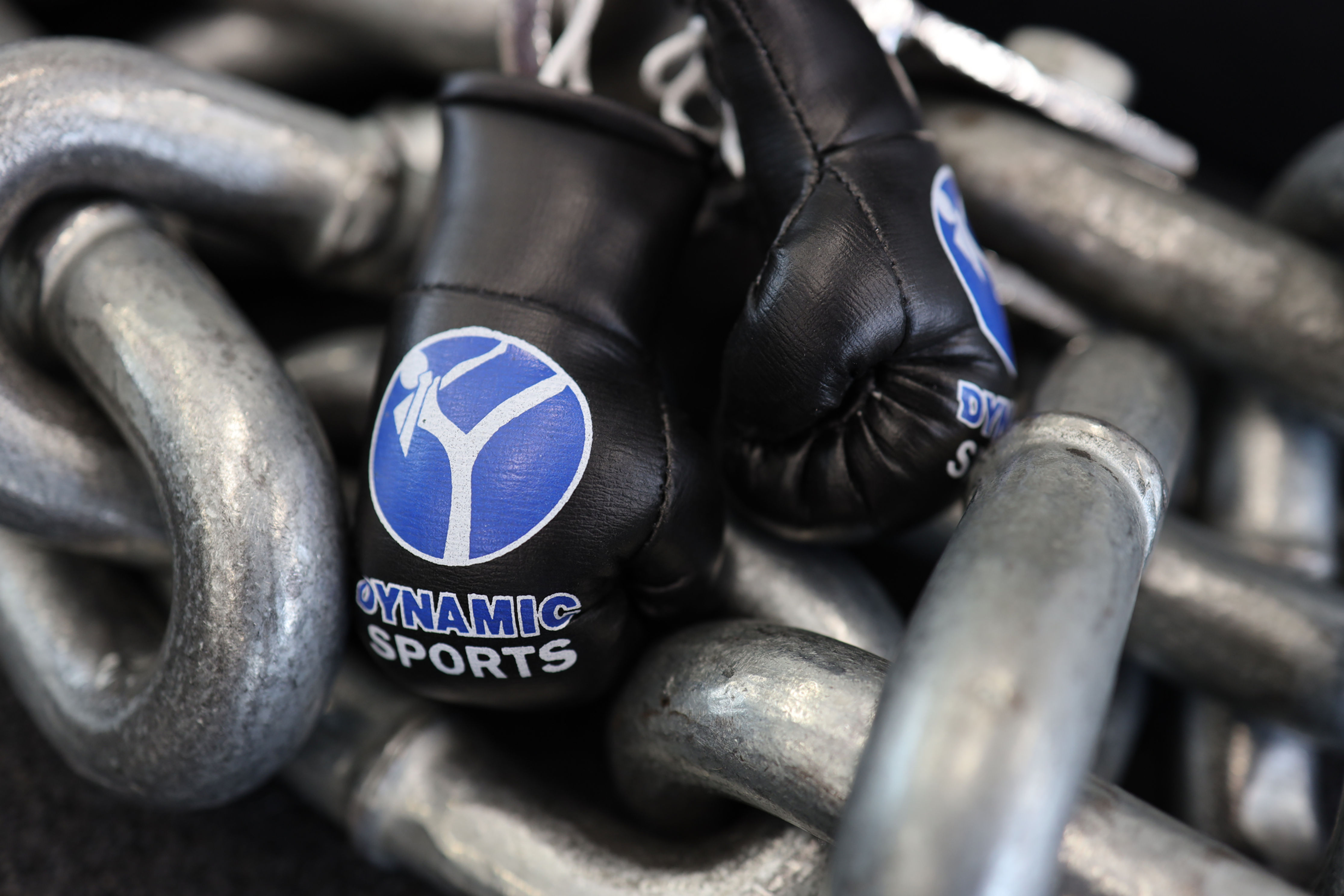 Dynamic Sports MINI Boxing Gloves Black