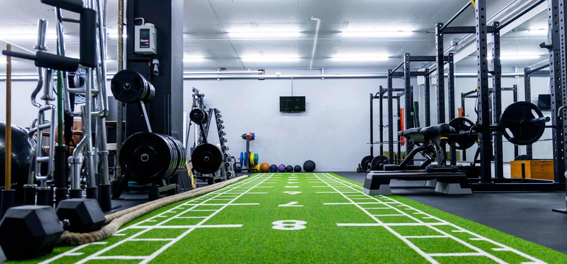 YourTrainer Dein Personal Trainer in Basel und Bern Gym und Fitness.webp
