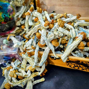 $15 off Thrasher Penis Envy