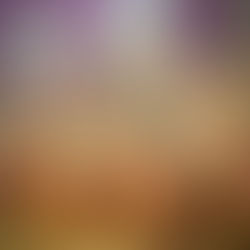 Try our New Kombuchas!