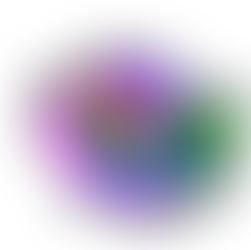 Apply 10$ off all products with the promo code "$10SCHMECKLESOFF"