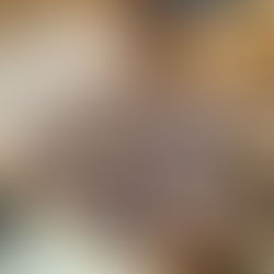 Chocolate Almond "Moonrocks"!