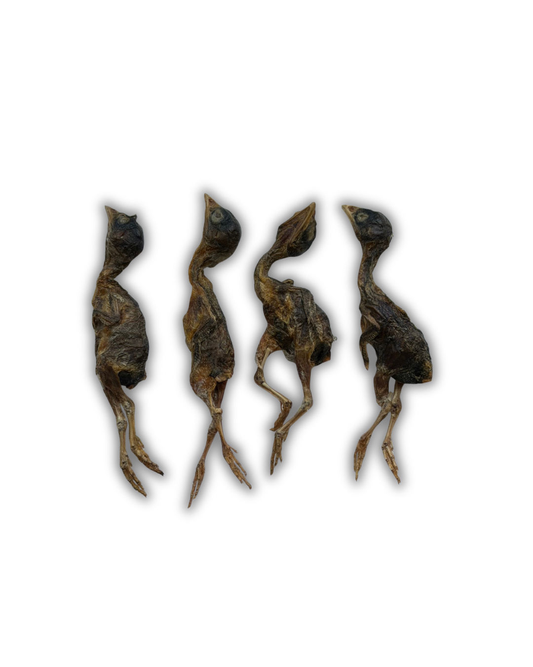 Freeze dried whole Quail