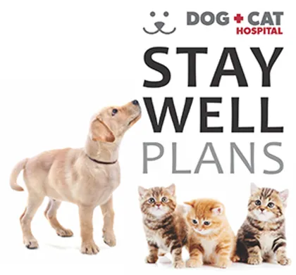 cat and dog hospital red deer