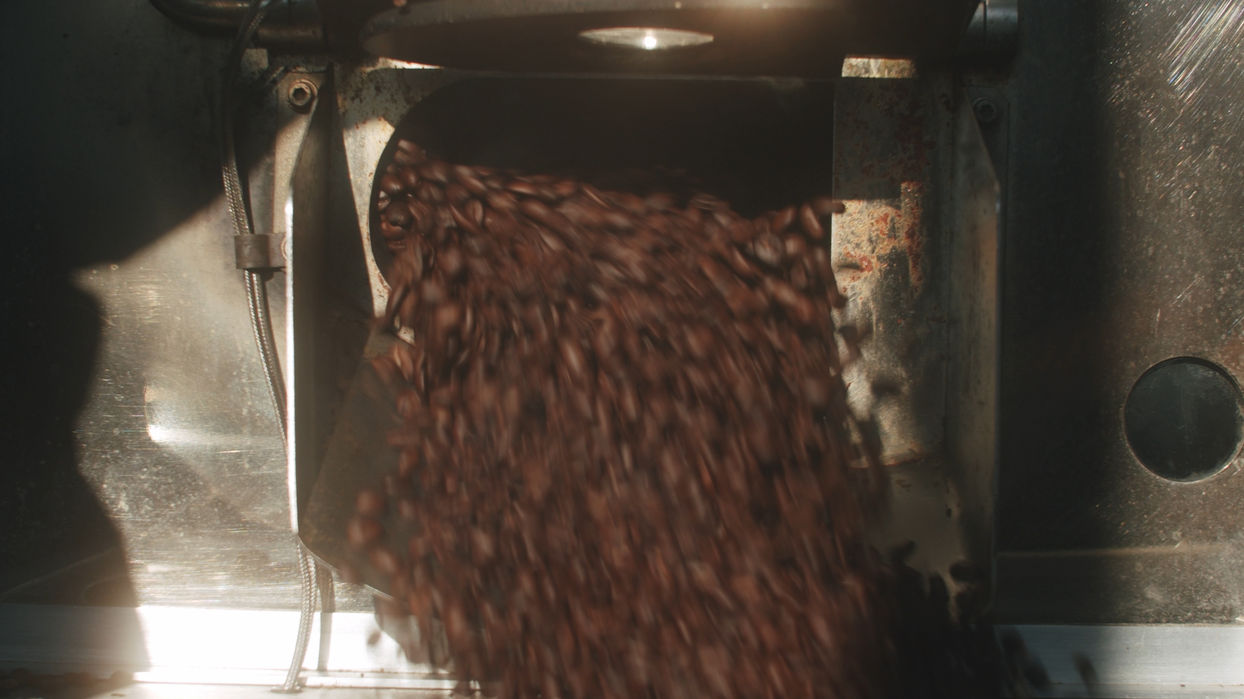 Close-up of coffee beans falling through the chute of a roasting machine, warm light streaming in