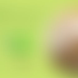 Zaproszenie - Ogólnopolski Kongres Sejmików Młodzieżowych - 18-19.11.22