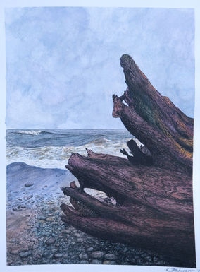 A painting of driftwood on a rocky beach