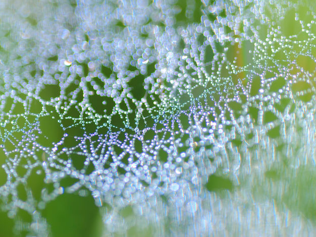 Gratitude Moon - The Cosmic Web