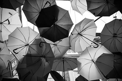 engin-akyurt-EjTL3I7ZIZE-unsplash_edited