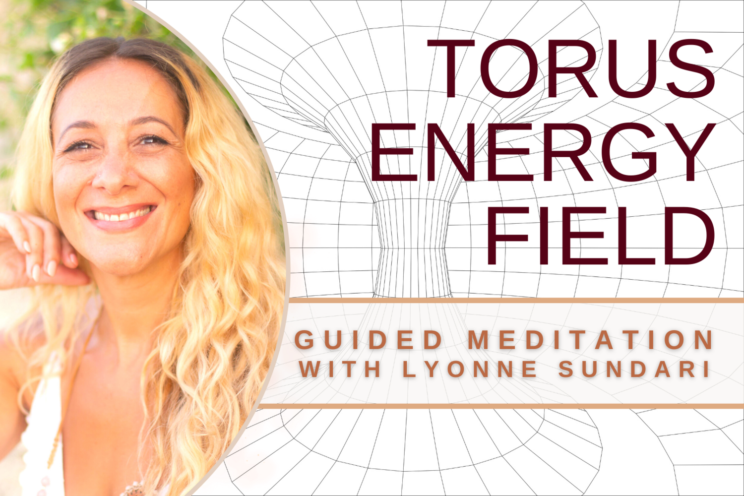 Torus Energy Field Guided Meditation