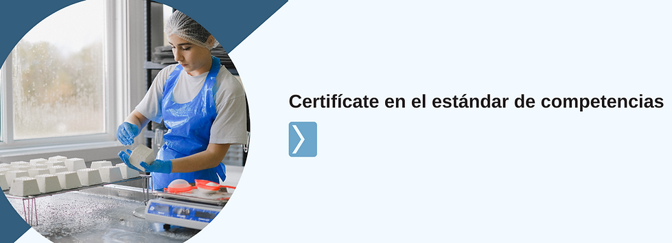 Banners WEB CE (27).png