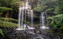 A Mediumship Talk I Gave at a Retreat Center in Costa Rica