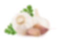 garlic.jpeg