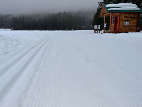 Groomer's Report - Thursday, 2/1/24