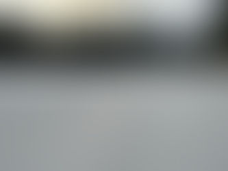 Groomer's Report - Saturday, 2/10/24