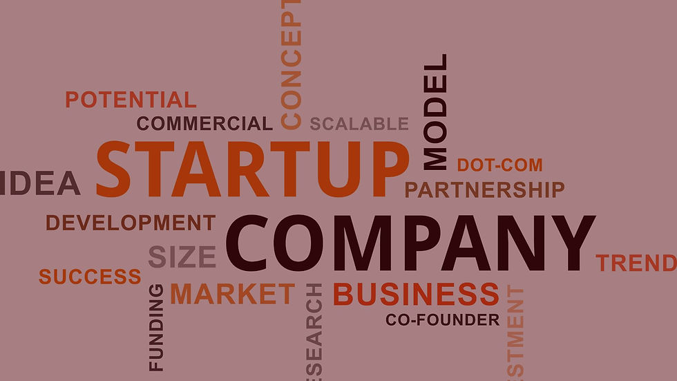 Imagem com palavras em destaque falando sobre startup.