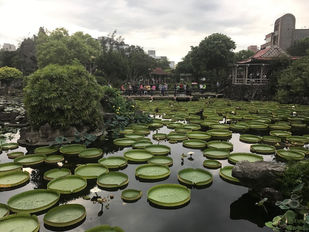 Shuangxi Park