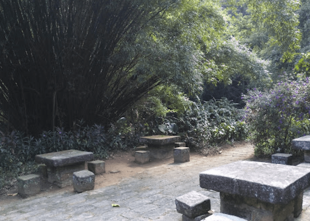 Tables and Bamboo Near Yuanjue Waterfall