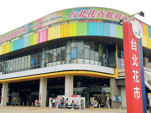 Taipei Wholesale Flower Market