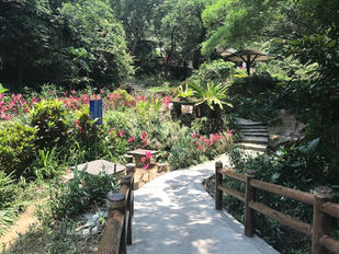 Yuanjue Waterfall Hike