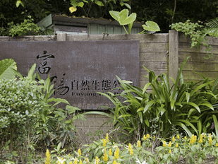 Fuyang Eco Park