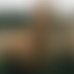 L’alpaga : douceur et chaleur avec Accademia by Industria Italiana Filati