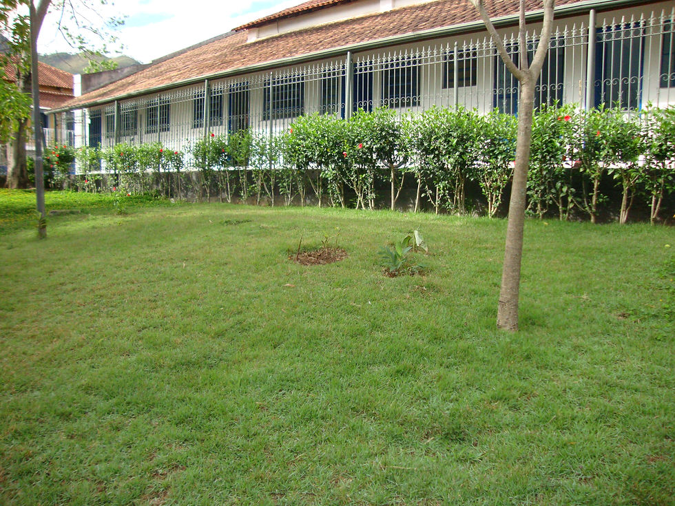 FACHADA LATERAL