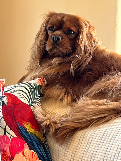 image000000 (24).heic