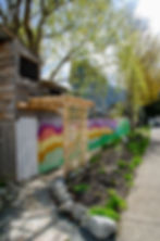 The pollinator garden on 4th and Pemberton