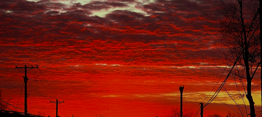 Hallick_Samantha-(Sami)_Sailors Warning.png