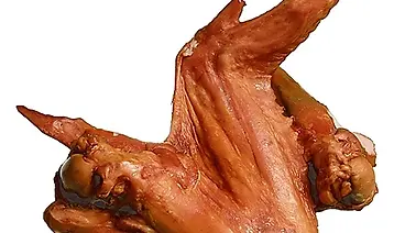 smoked turkey wing sarasota.webp