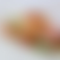 Check out the best restaurants in Montreal 