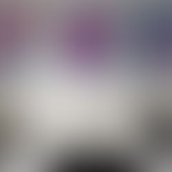 Unfurl – A Collection Rooted in Growth