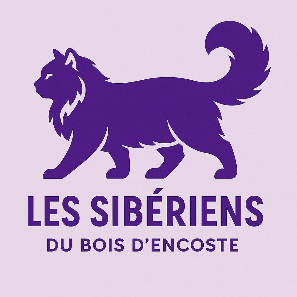 new-logo.jpg