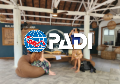 PADI icon
