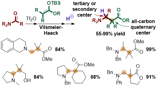 b-aminoacids.gif