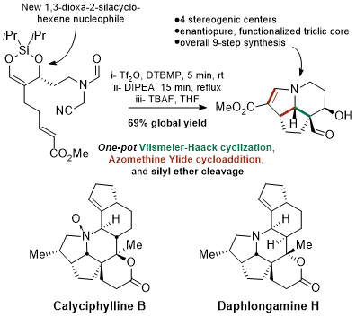 Calyciphylline B.gif